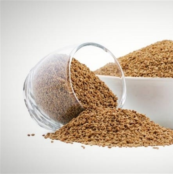 خواص زنیان بیشمار و باورنکردنی است ؛ دمنوش ، عرق و عوارض