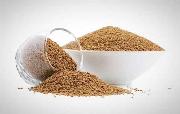 خواص زنیان بیشمار و باورنکردنی است ؛ دمنوش ، عرق و عوارض