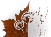 اصل کار در ظریف کاری است