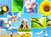 شاید رکود (اقتصادی) برای سلامتی شما خوب باشد!