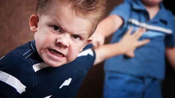 پرخاشگری نوجوانان؛ دلایل، پیامدها و راهکارهای علمی برای مدیریت