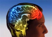 هوش، استعداد، خلاقیت