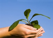 بهترین زمان برای یاد گرفتن حفاظت از محیط زیست