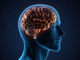 مطلب مرتبط: نحوه اثرگذاری بدن بر مغز هنگام ترس 