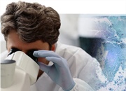 ساخت قطعه برای کارخانه های زیستی