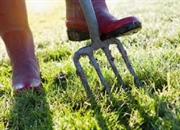 هوادهی چیست؟