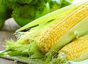 گیاهان یکساله چه ویژگی هایی دارند؟