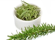 واقعیت های خواندنی درباره گیاه رزماری