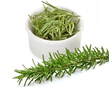 مطلب مرتبط: واقعیت های خواندنی درباره گیاه رزماری 