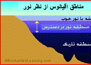 منطقه تاریک روشن اقیانوس چگونه است؟