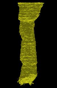 مطلب مرتبط: آیا در اعماق گودالی که نور خورشید به آن نمی رسد هم حیات وجود دارد؟ 