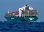 گونه های مهاجم