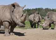 موجودات زنده بر اساس چه توانایی ای با محیط های سخت کنار می آیند؟