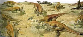 آیا دایناسورها در گله زندگی می کردند؟