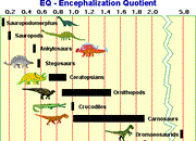 مغز دایناسورها و هوششان چگونه بوده؟