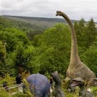 چرا دایناسورها این قدر بزرگ بوده اند؟