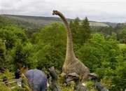 چرا دایناسورها این قدر بزرگ بوده اند؟