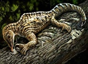 ویژگی های عجیب جانور باستانی داسی سوسمار