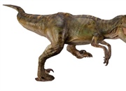 دلیل کوچک بودن دست های تی رکس چه بوده؟