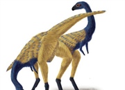 چرا پرندگان دندان ندارند و منقار دارند؟