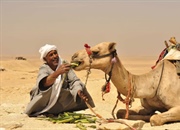 نانوبادی ها ، ساختار و کاربرد آنها