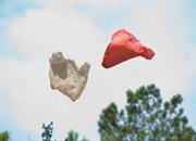 چگونه می توان پلاستیک های مضر برای محیط زیست را به سوخت مایع تبدیل کرد؟