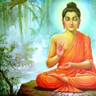 10واقعیت خواندنی درباره بودا