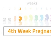 هفته چهارم بارداری