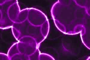 مطلب مرتبط: 6توصیه مفید علیه سرطان سینه 