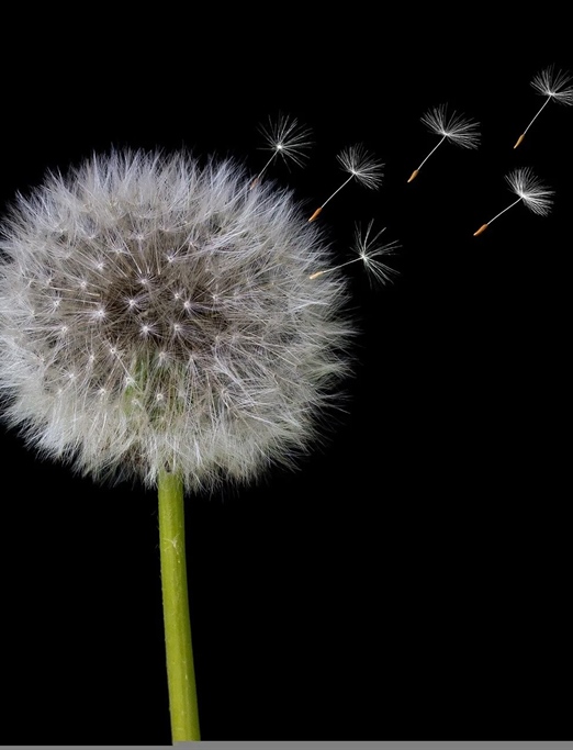 ورم پا را درمان کنید !