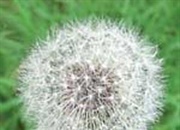 ورم پا را درمان کنید !