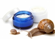 آیا کرم حلزون واقعاً موثر است؟