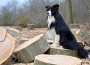 کاربرد It در گرامر زبان انگلیسی (با تمرین و مثال)