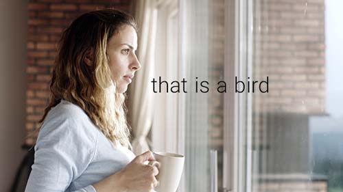 بهترین روش یادگیری و آمادگی تافل در منزل (تجربه ۱۲ ساله)