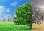 بلاک چین چه تأثیراتی بر محیط زیست دارد؟