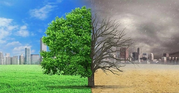 بلاک چین چه تأثیراتی بر محیط زیست دارد؟