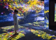 چیدمان دیجیتال (Digital Installation): تلفیق هنر و تکنولوژی