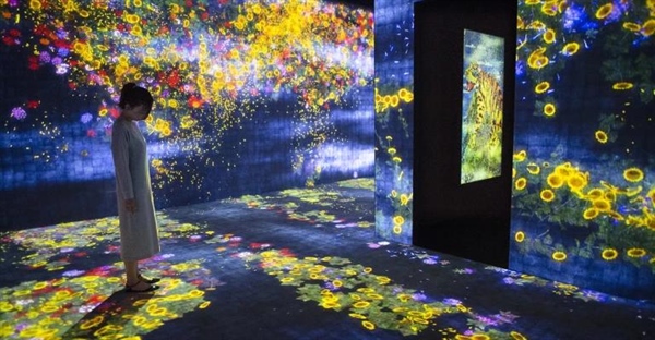 چیدمان دیجیتال (Digital Installation): تلفیق هنر و تکنولوژی