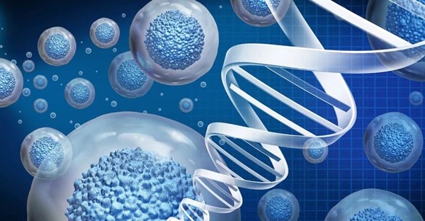 مهندسی بافت: آینده پزشکی و درمان‌های نوین