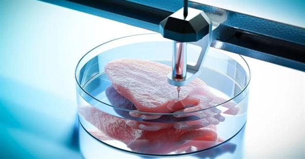 چاپ زیستی سه بعدی: نوآوری در مهندسی بافت و پزشکی