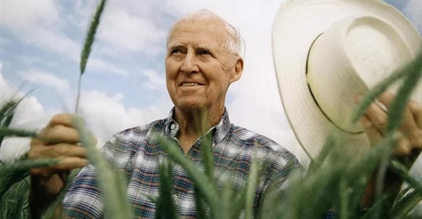 انقلاب سبز | تاریخچه و مرور کلی آن