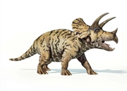 ۱۰ حقیقت جالب درباره دایناسور تریسراتوپس