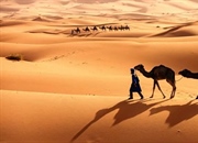 همه چیز درباره صحرای بزرگ آفریقا