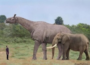 بزرگترین پستانداران باستانی: ۲۰ موجود شگفت‌انگیز تاریخ زمین