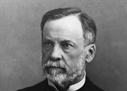 تخمیر چیست؟ + کاربردها و اصول بنیادی