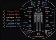 عناصر موجود در بدن انسان و عملکردهای آن‌ها