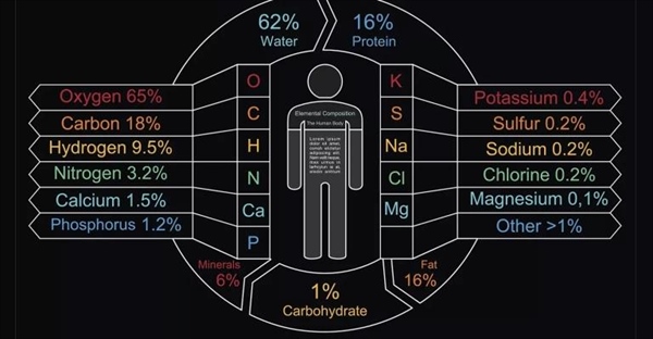 عناصر موجود در بدن انسان و عملکردهای آن‌ها