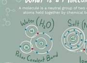 مولکول چیست؟ تعریف و مثال هایی از آن