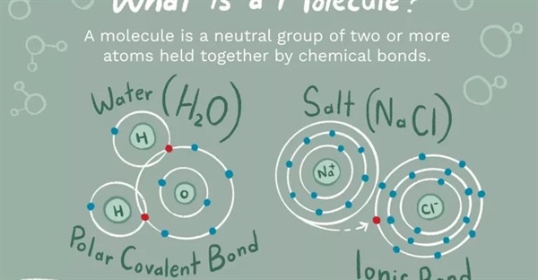 مولکول چیست؟ تعریف و مثال هایی از آن