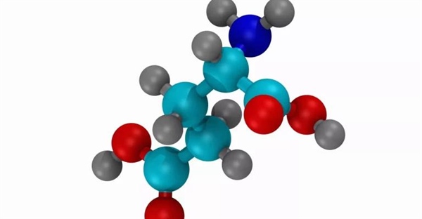 آمینو اسیدها: ساختار، طبقه بندی و عملکرد آن ها
